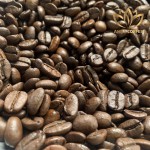 CÀ PHÊ HẠT RANG - ARABICA (Cà phê chè) (3)